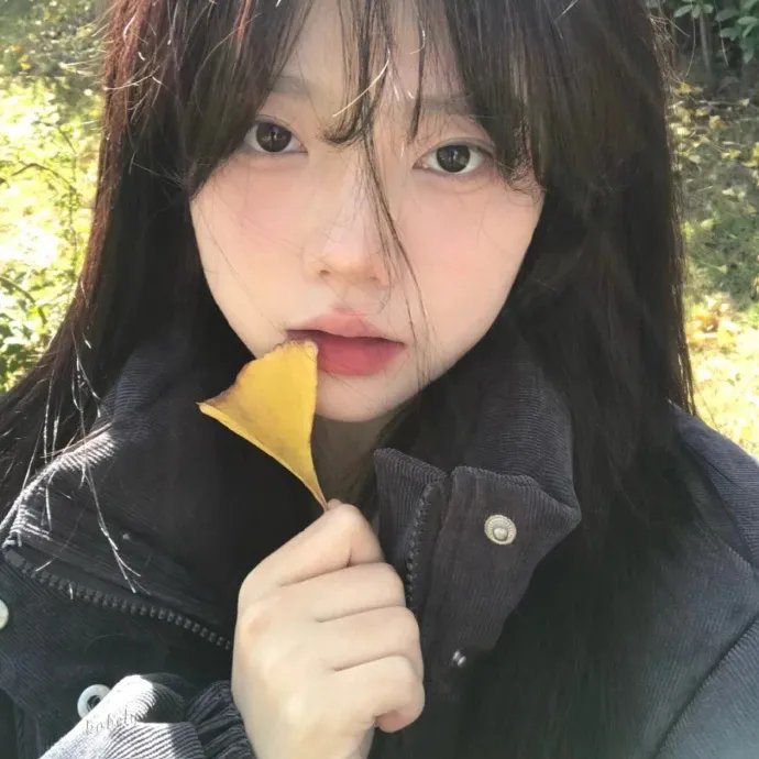 《叠影迷离》海报